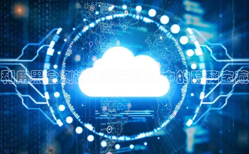 杏鑫彩票官网app一径科技利用黑盒测试挖掘云计算中的隐秘宝藏