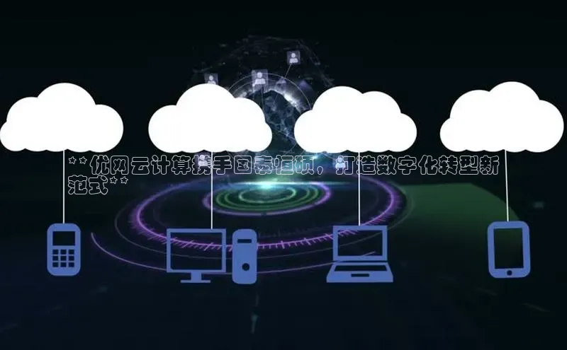 杏鑫平台登录地址网易**优网云计算携手国泰恒硕，打造数字化转型新
范式**