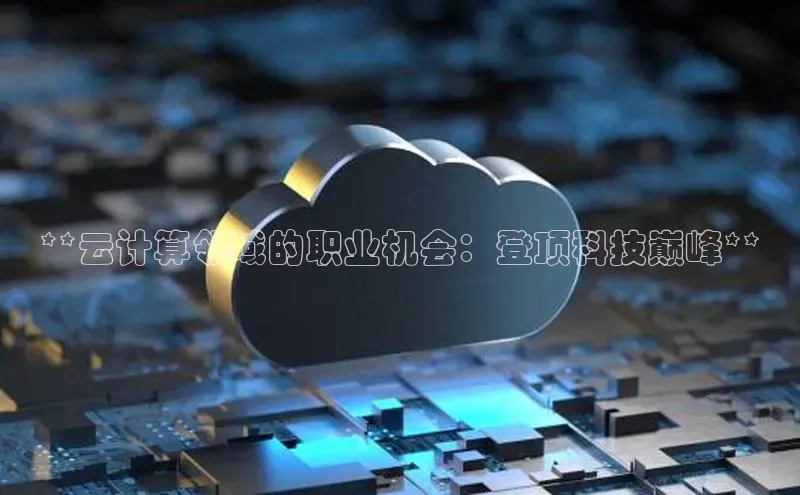 杏鑫平台代理百度营销中心**云计算领域的职业机会：登顶科技巅峰**