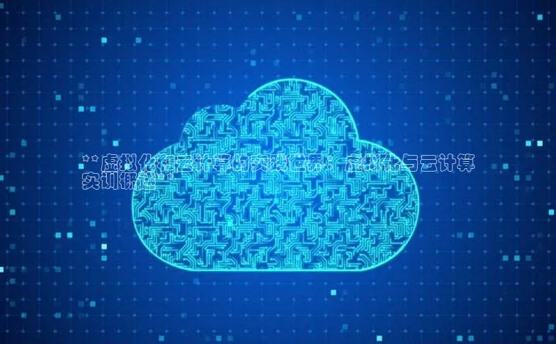 杏鑫平台注册入口百度健康**虚拟化和云计算的实践世界：虚拟化与云计算
实训概述**