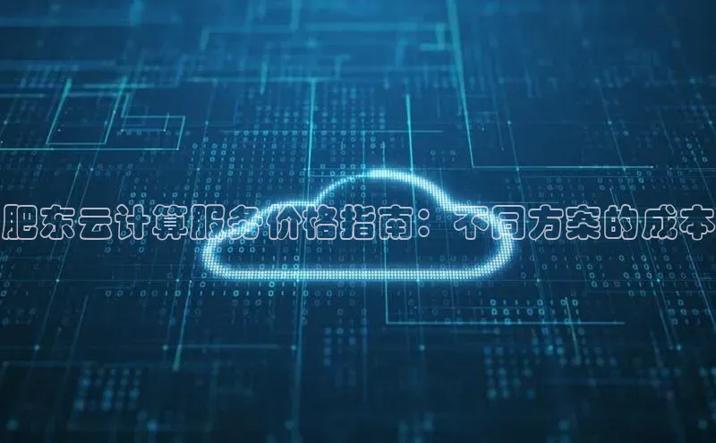杏鑫彩票官网app雷柏科技肥东云计算服务价格指南：不同方案的成本