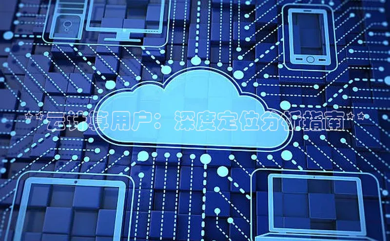 杏鑫平台代理百度游戏**云计算用户：深度定位分析指南**