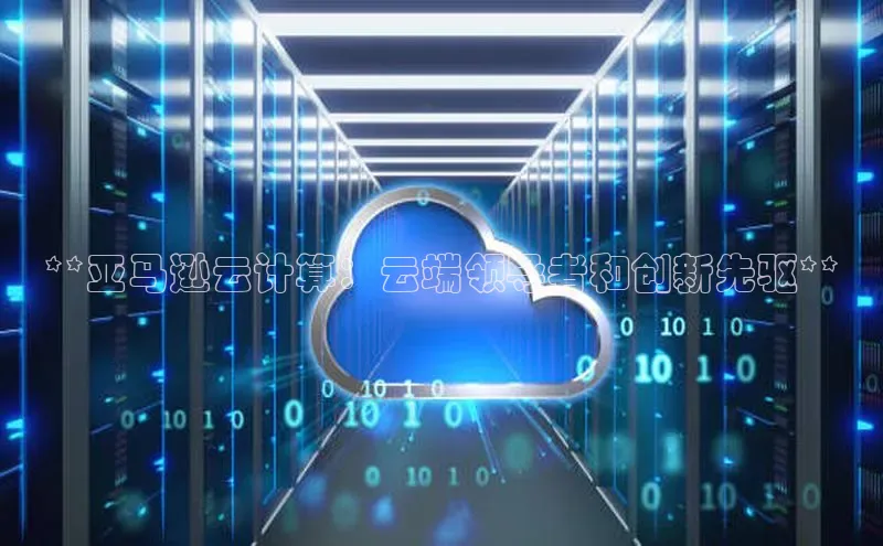杏鑫平台注册入口度小满理财**亚马逊云计算：云端领导者和创新先驱**