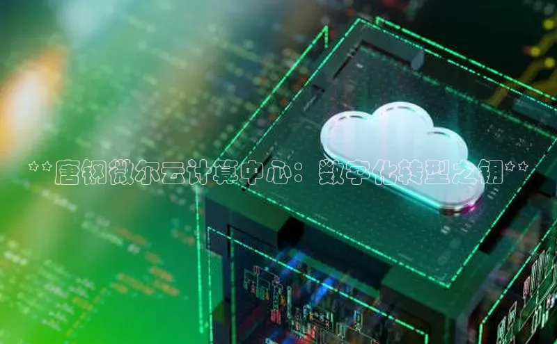 杏鑫注册登录代理挪威主权基金**唐钢微尔云计算中心：数字化转型之钥**