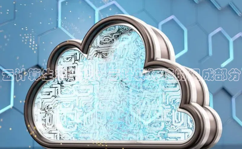 杏鑫彩票官网登录观星盘云计算生态系统：云计算环境的组成部分