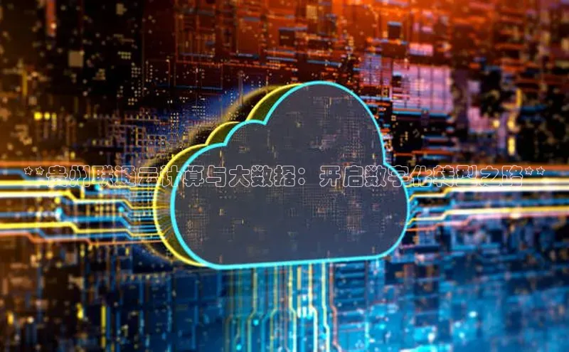 杏鑫是正规彩票平台吗百度翻译App**贵州联通云计算与大数据：开启数字化转型之路**