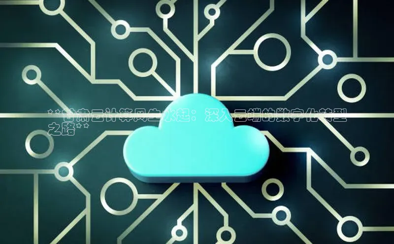 杏鑫平台代理滴滴出行**甘肃云计算风生水起：深入云端的数字化转型
之路**