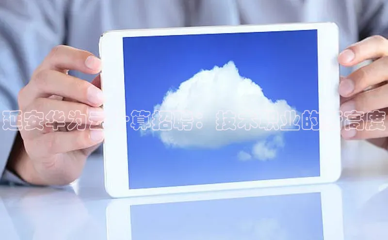 杏鑫平台登录地址网易延安华为云计算招聘：技术职业的新高度