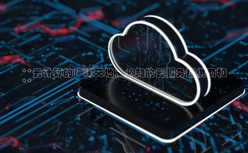 杏鑫平台线路测速赛富乐斯**云计算的广阔天地：必知的云服务提供商和
**