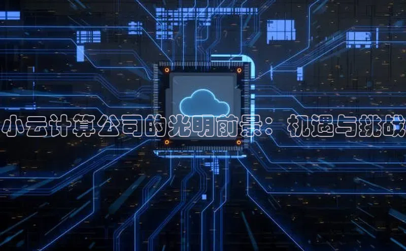 杏鑫平台注册入口哇咔哇咔文化小云计算公司的光明前景：机遇与挑战