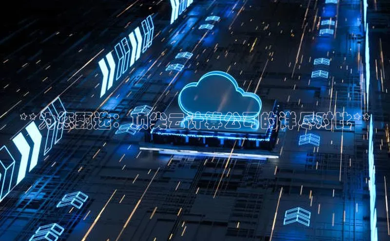 杏鑫注册地址百度手机助手**为您甄选：顶尖云计算公司的详尽对比**