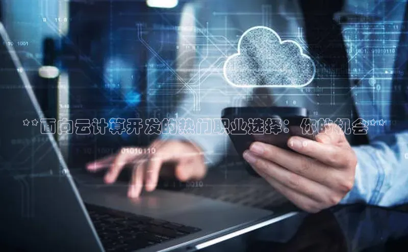 杏鑫平台手机登录入口神思电子**面向云计算开发的热门职业选择：你的机会**