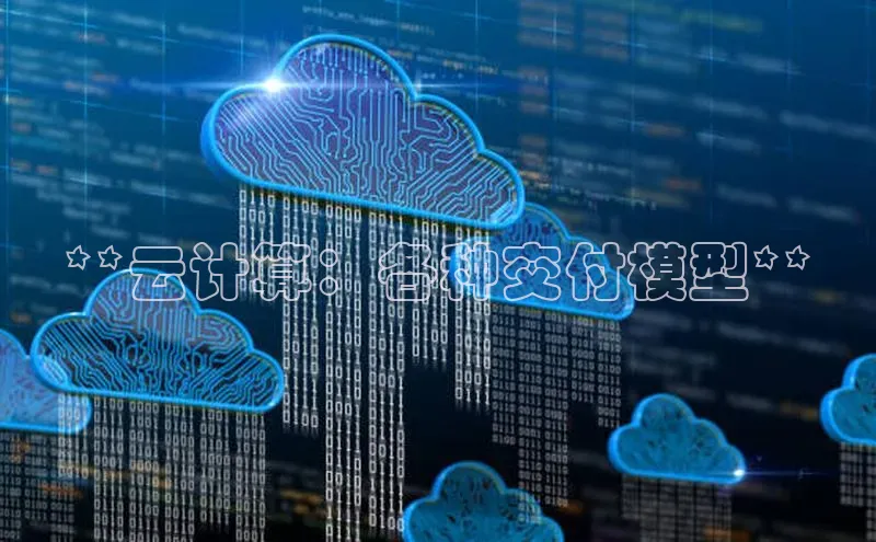 杏鑫彩票官网app百度百聘**云计算：各种交付模型**