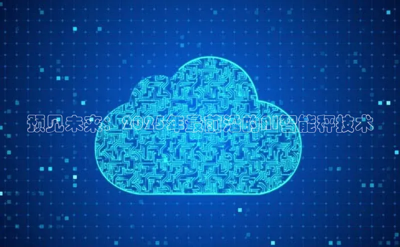 预见未来：2025年最前沿的AI智能秤技术