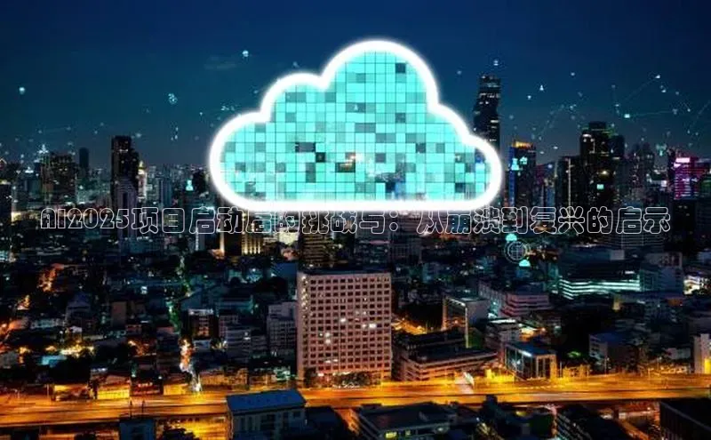 AI2025项目启动后的挑战与：从崩溃到复兴的启示