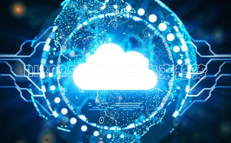 AI2025：展望与未来趋势